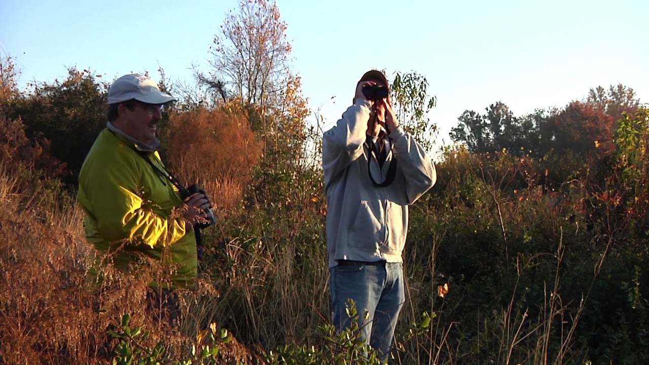 Restoring Lake Apopka: A Story of Success