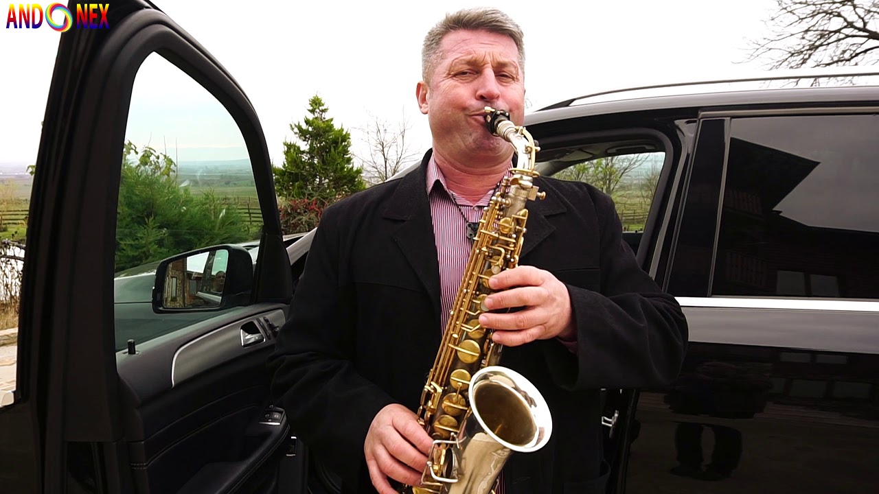 Marius Sicoe - Program sarbesc