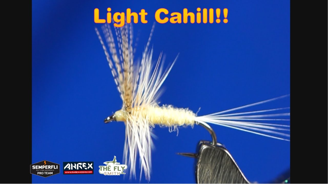 Light Cahill Fly