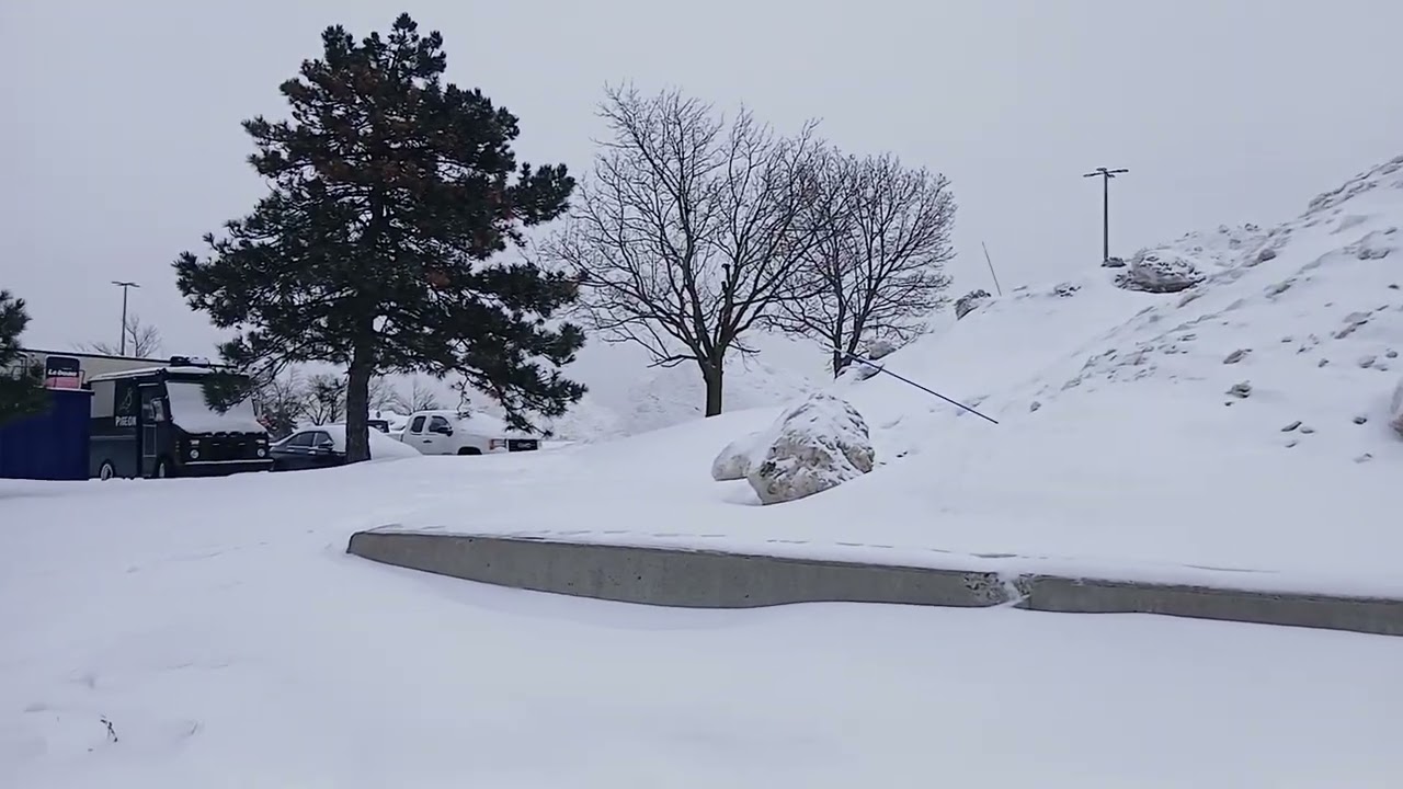 Trip to kirckland