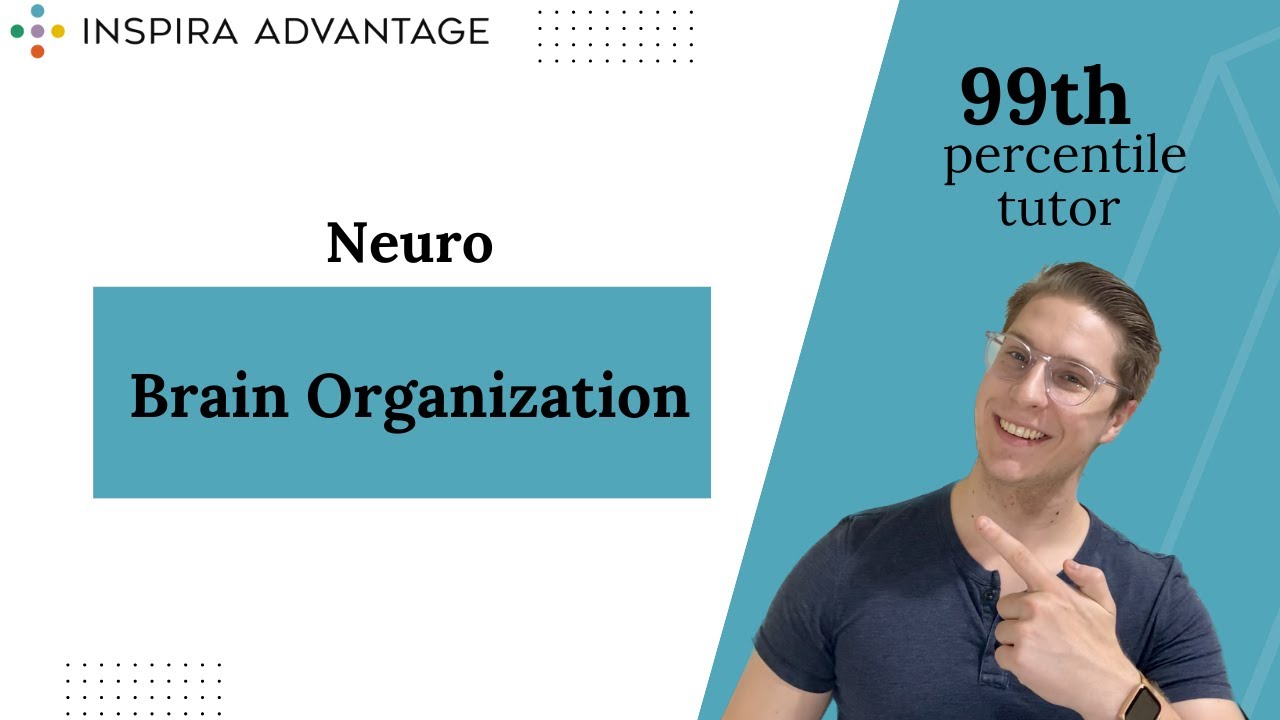 Neuro: Brain Organization | MCAT Crash Course