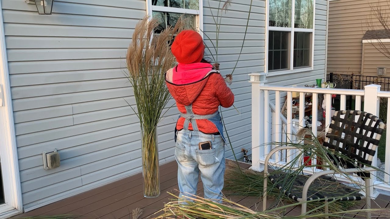 I harvested tall grass for decoration today 没想到吧？这种高草才是插花之王
