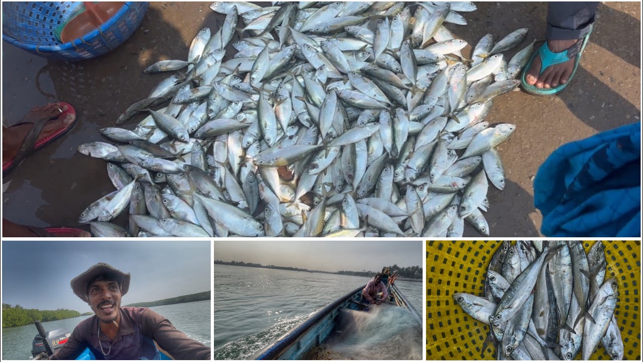 Bangdi sikru namg nasibh ella 😂 || #dailyvlog #fishboat #kannadavlog 