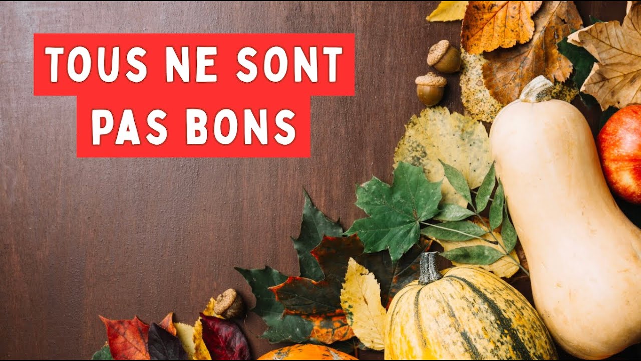 Légumes d’Automne - Tout N’EST PAS BON à PRENDRE