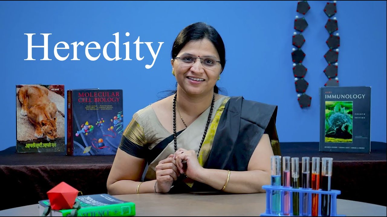 Heredity | English