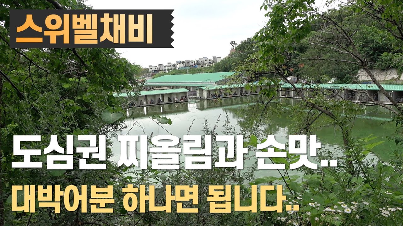 도심권 찌올림과 손맛 볼 수 있는 곳-경기 용인 삼막곡낚시터(2022.07.12)