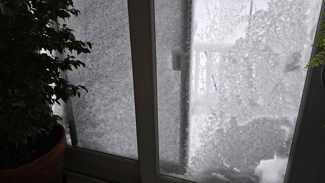 SOCORRO,NAO  TEMOS COMO SAIR DAS CASAS- CERCADOS POR  MUITA NEVE NOS ESTADOS UNIDOS 🇺🇸