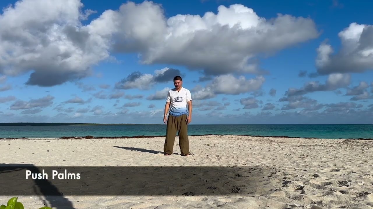 18 form Tai Chi Qigong