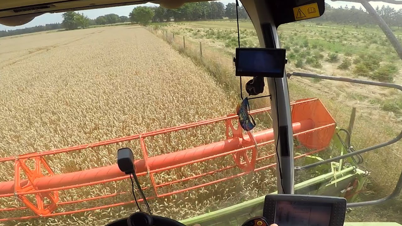 Cab View Claas Lexion 640 | harvesting wheat Claas Vario V 600 | POV