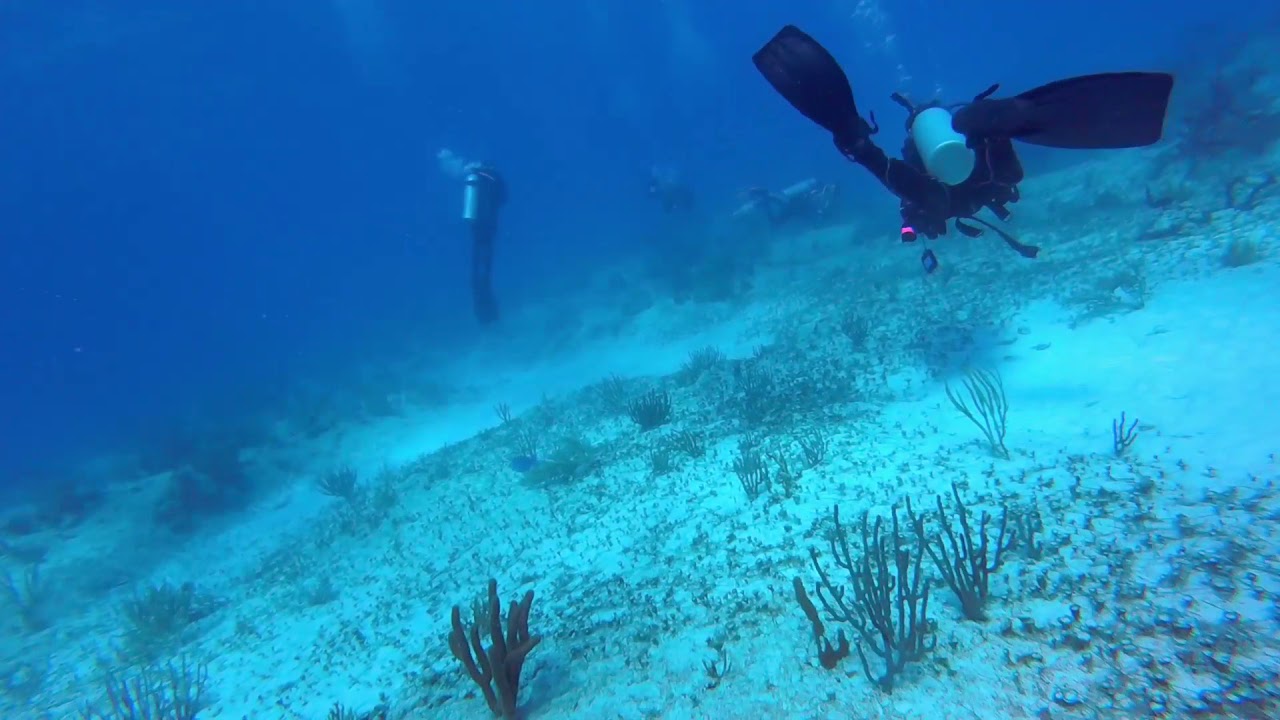 Playa del carmen  2nd DSD