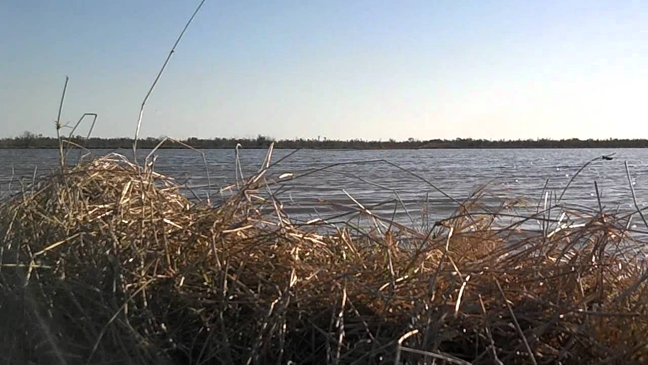 End of season hunt 2012