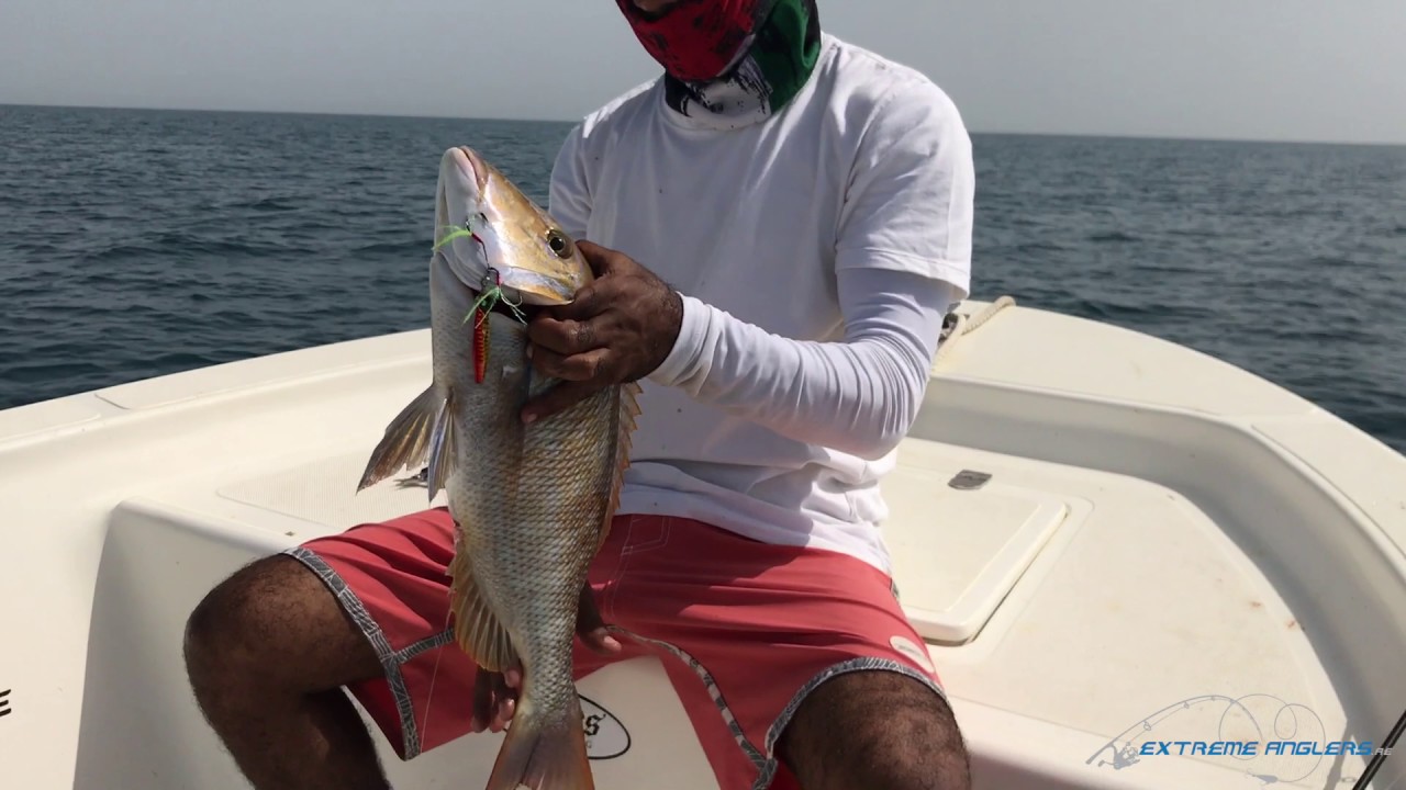 Abu Dhabi - The Senses Of Fishing (Part2) إحساس الصيد الجزء الثاني