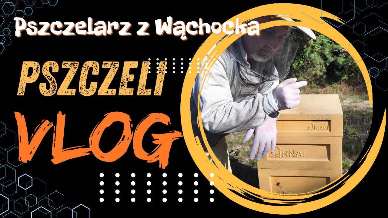 Pszczeli VLOG 81 - problematyczny początek dnia, suszenie nasion, prace na pasiece
