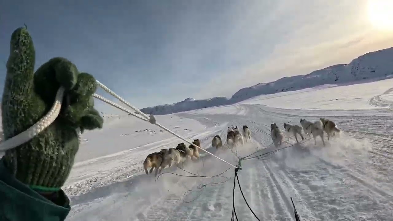 Anngunniunneq ilulissat 2025