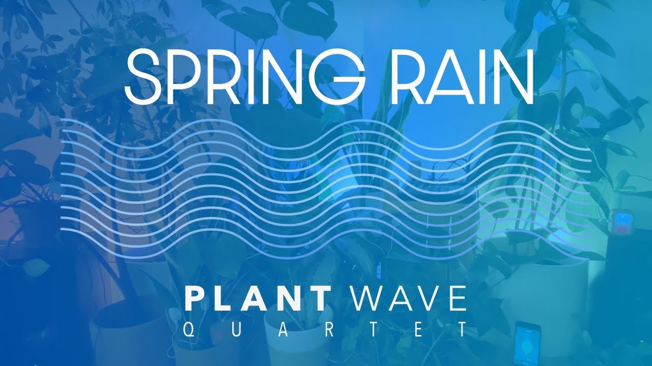 PlantWave Quartet - Spring Rain