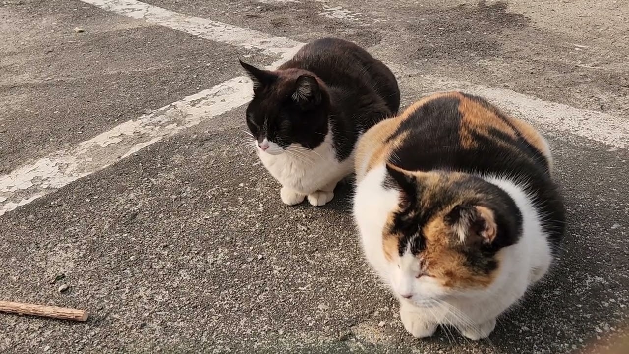 울아가들 겨울잘 이겨내고 있어요 이모삼촌 감기조심 하세요 ♡