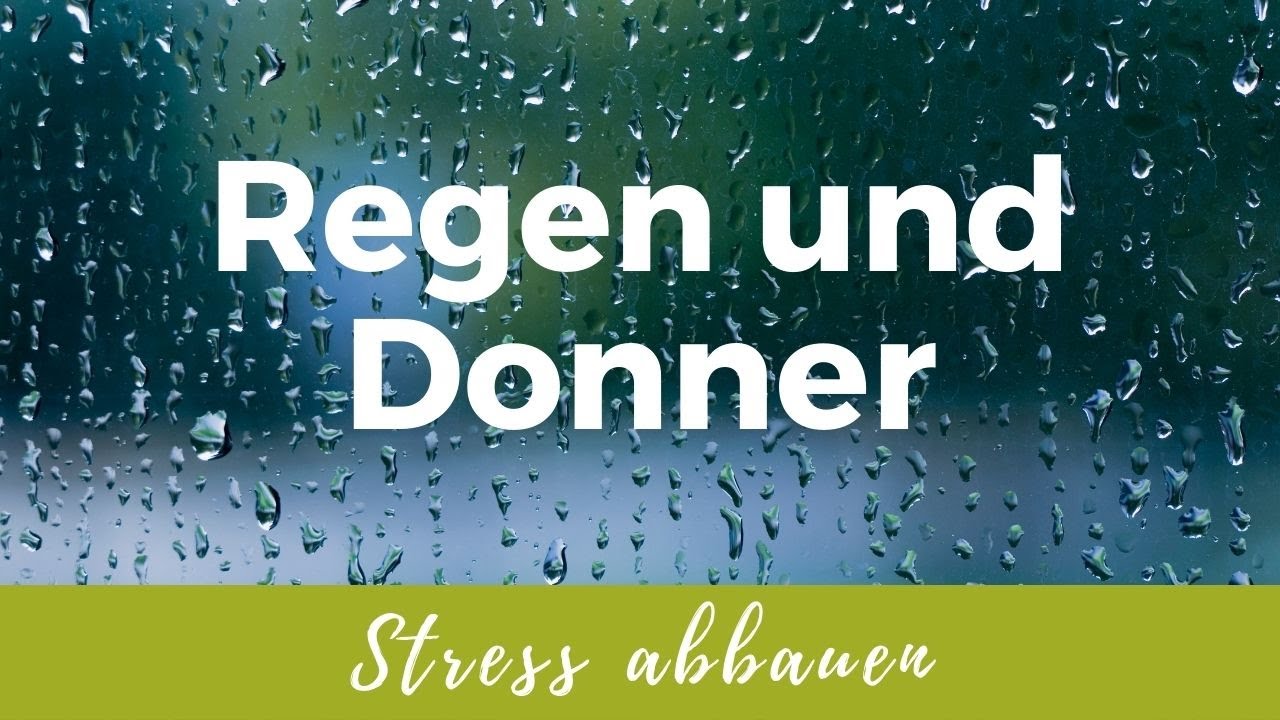 Ein Sommerregen am Rande des Waldes