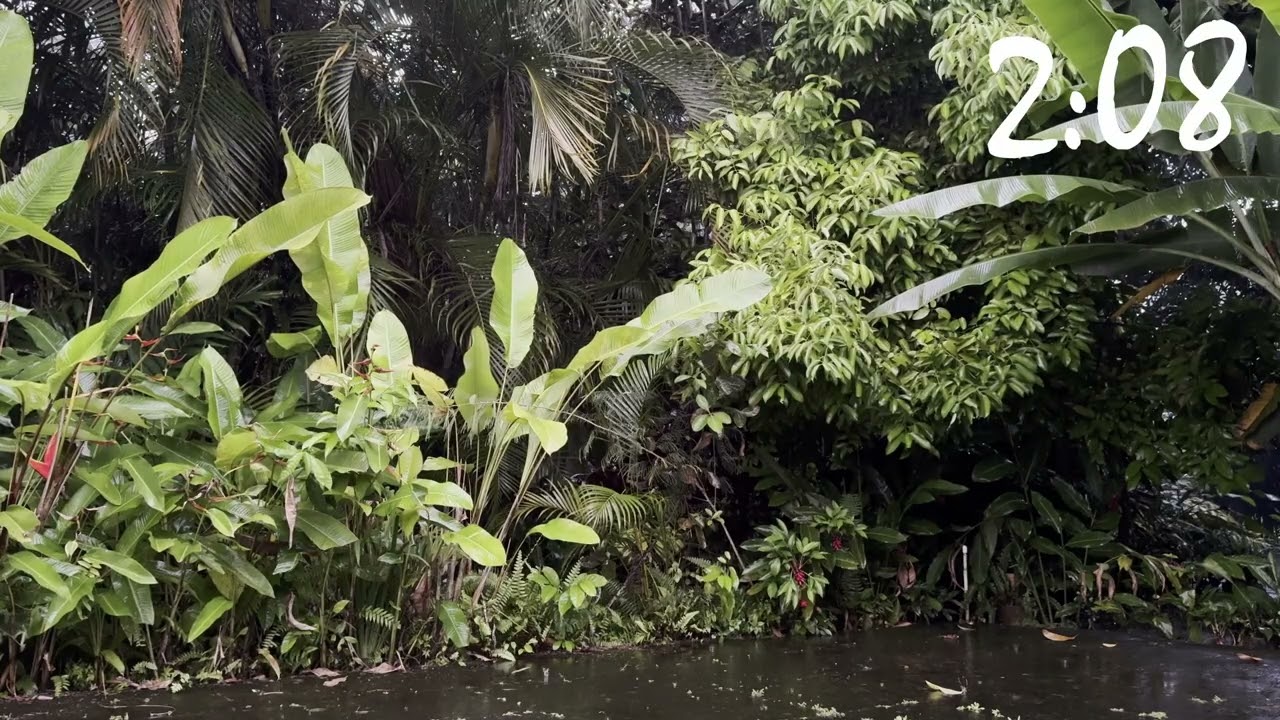 Rain in Nicaragua - 5 Minute Countdown