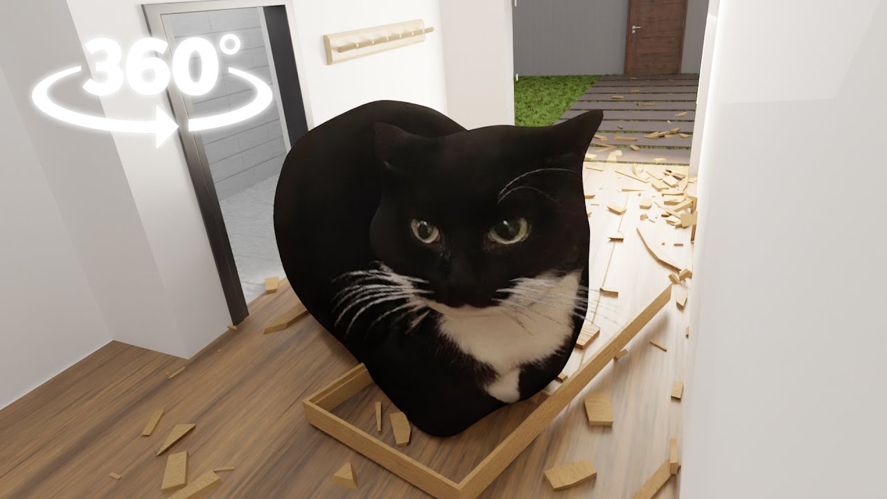 360° Maxwell The Cat in YOUR HOUSE attacks you !