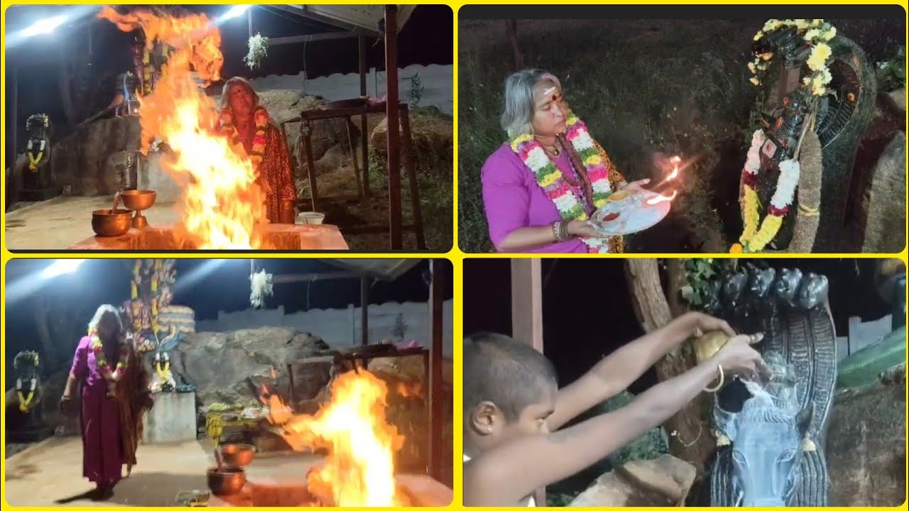 🌑 தை அமாவாசை மகா யாகம் | வாழ்வில் திருப்பம் தரும் புனித பூஜை ✨