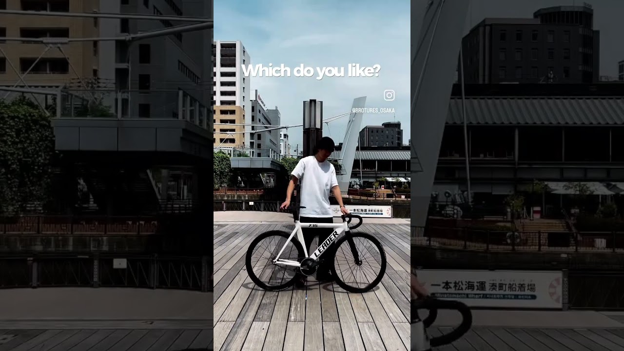 LEADER 735 custom bike