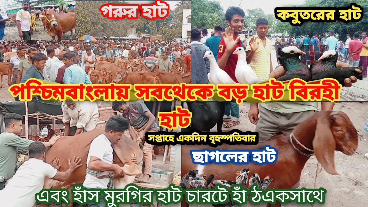 পশ্চিমবাংলায় সবথেকে বড় হাট বিরহী হাট অবশ্যই ভিডিওটা কেউ মিস করবে না#birohi hot  )
