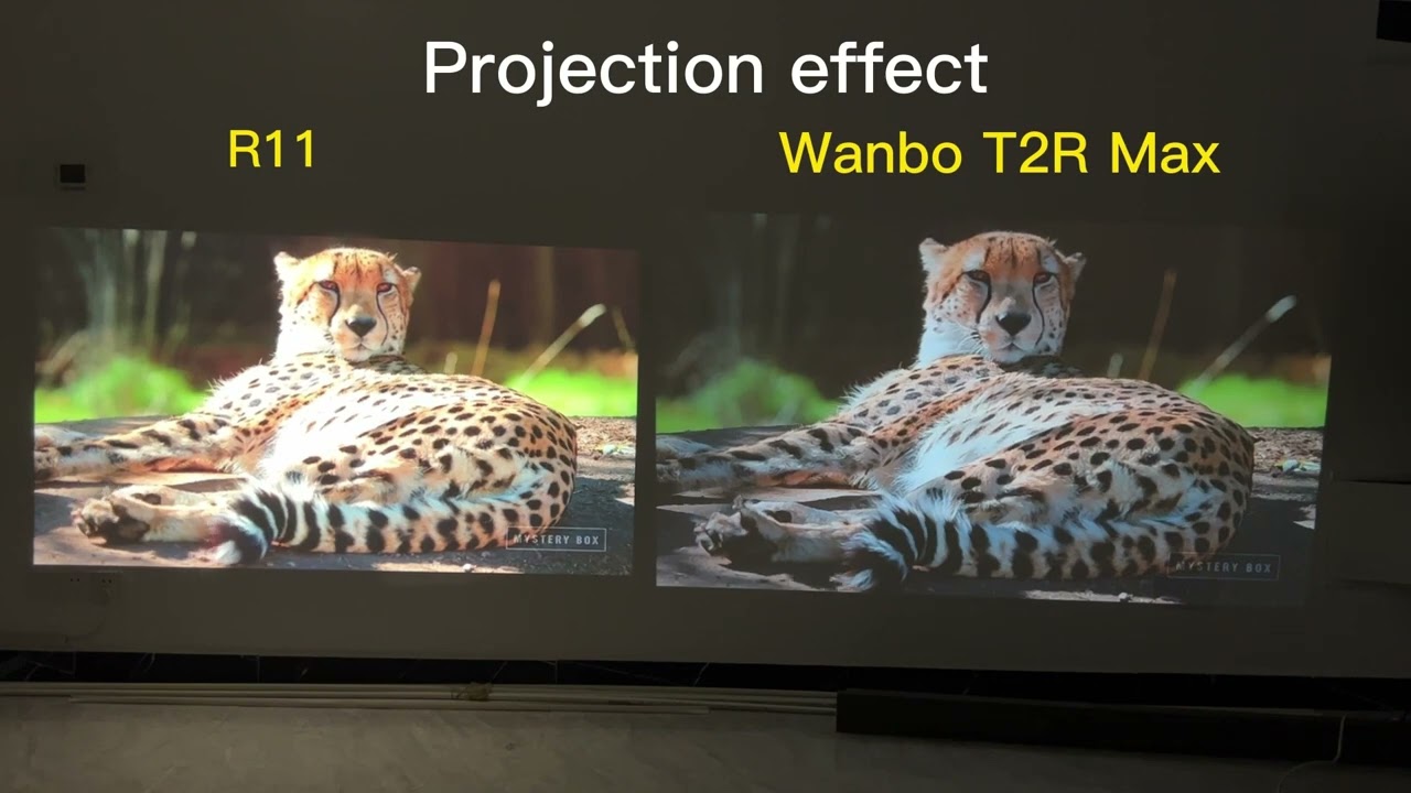 Wanbo T2R Max vs Everycom R11