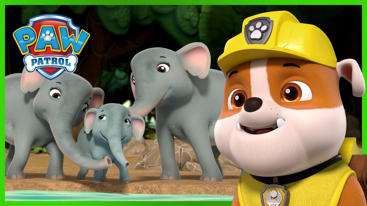 Rubble salva gli elefanti e altri tra i momenti più belli! - PAW Patrol I cuccioli Episodi Italiano