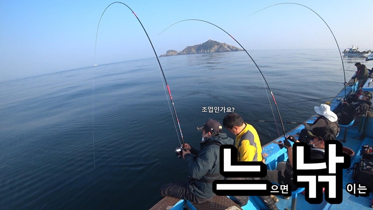 제철 방어 잡다가 엘보왔습니다 - 부산 다대포