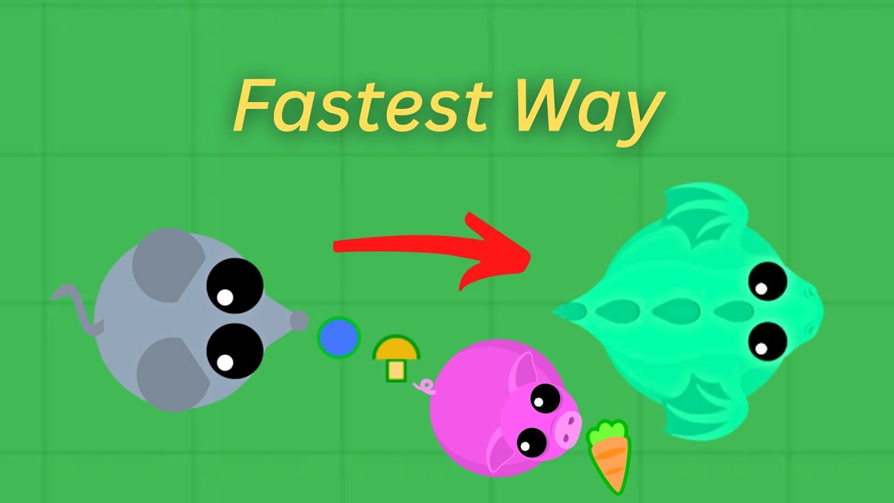 What's The Best Animal to 1M XP?