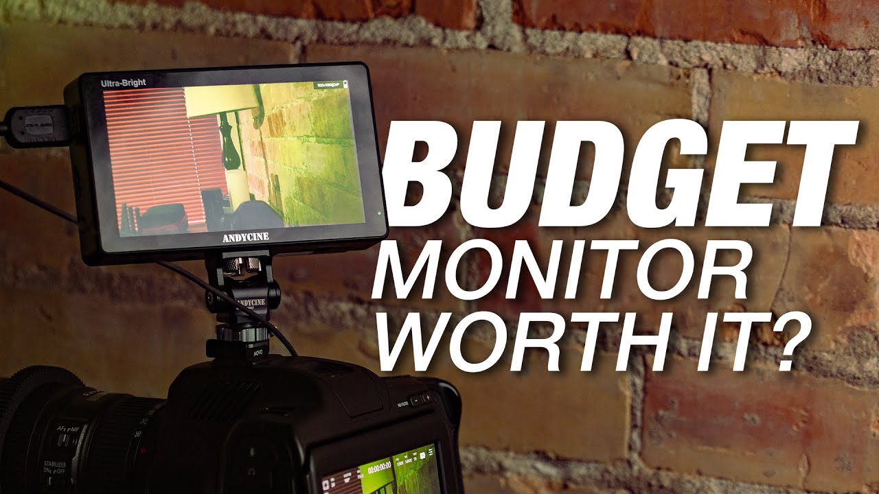Budget Monitor Worth It? Andycine C5 Monitor Review