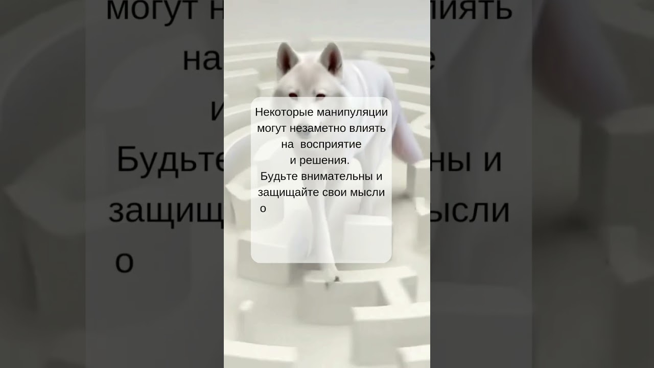 #Психология #Ум #Манипуляции #КритическоеМышление #ЛичностныйРост #Внимательность