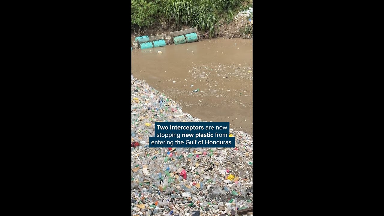 If all goes well, the Gulf of Honduras could stay clean for the first time in decades
