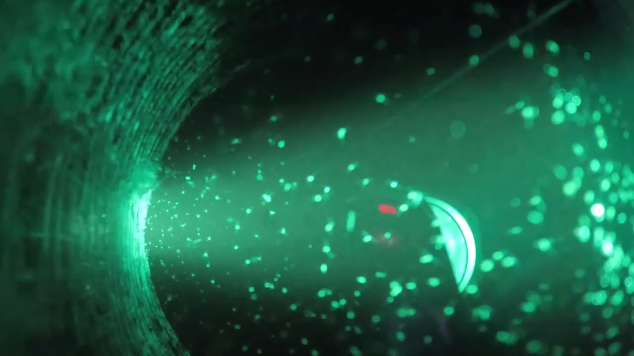 YIKES! Would you drink THE WATER? ZOOPLANKTON 