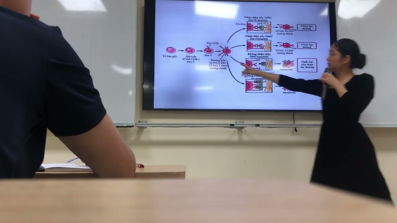 Miễn dịch bài 4 lympho T p1