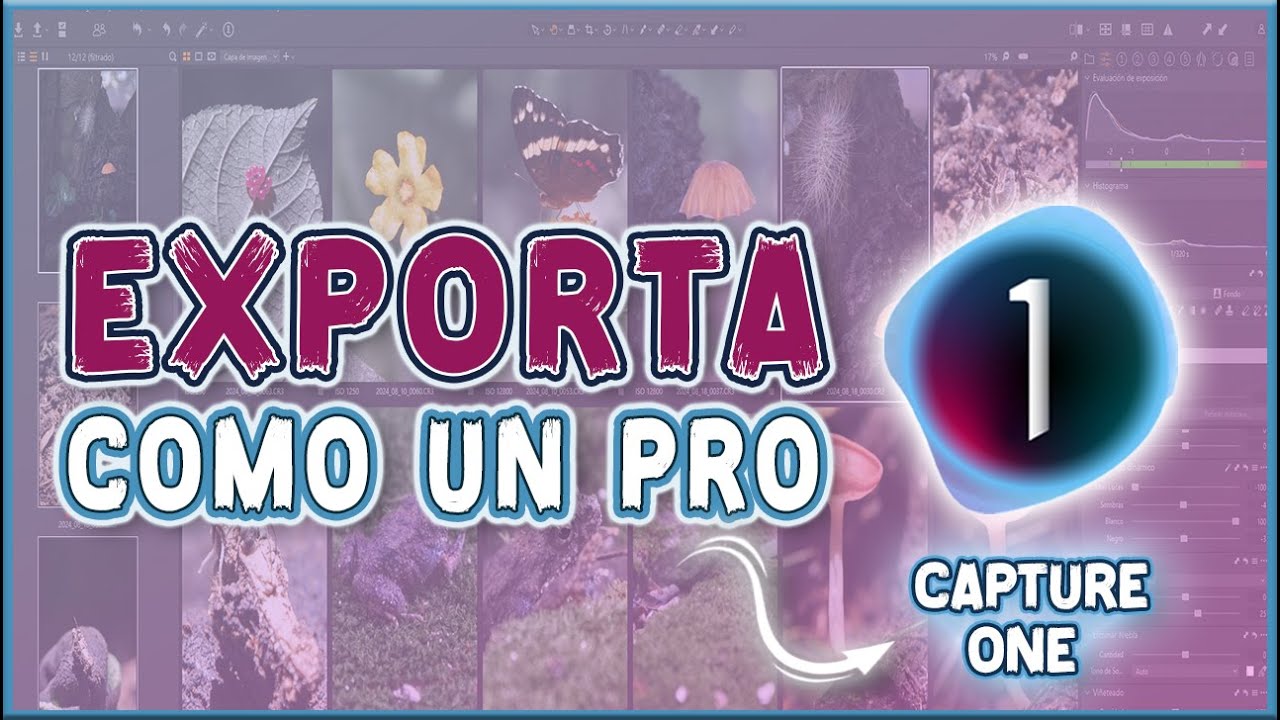 🔴CÓMO EXPORTAR en CAPTURE ONE PRO/Tutorial 2024