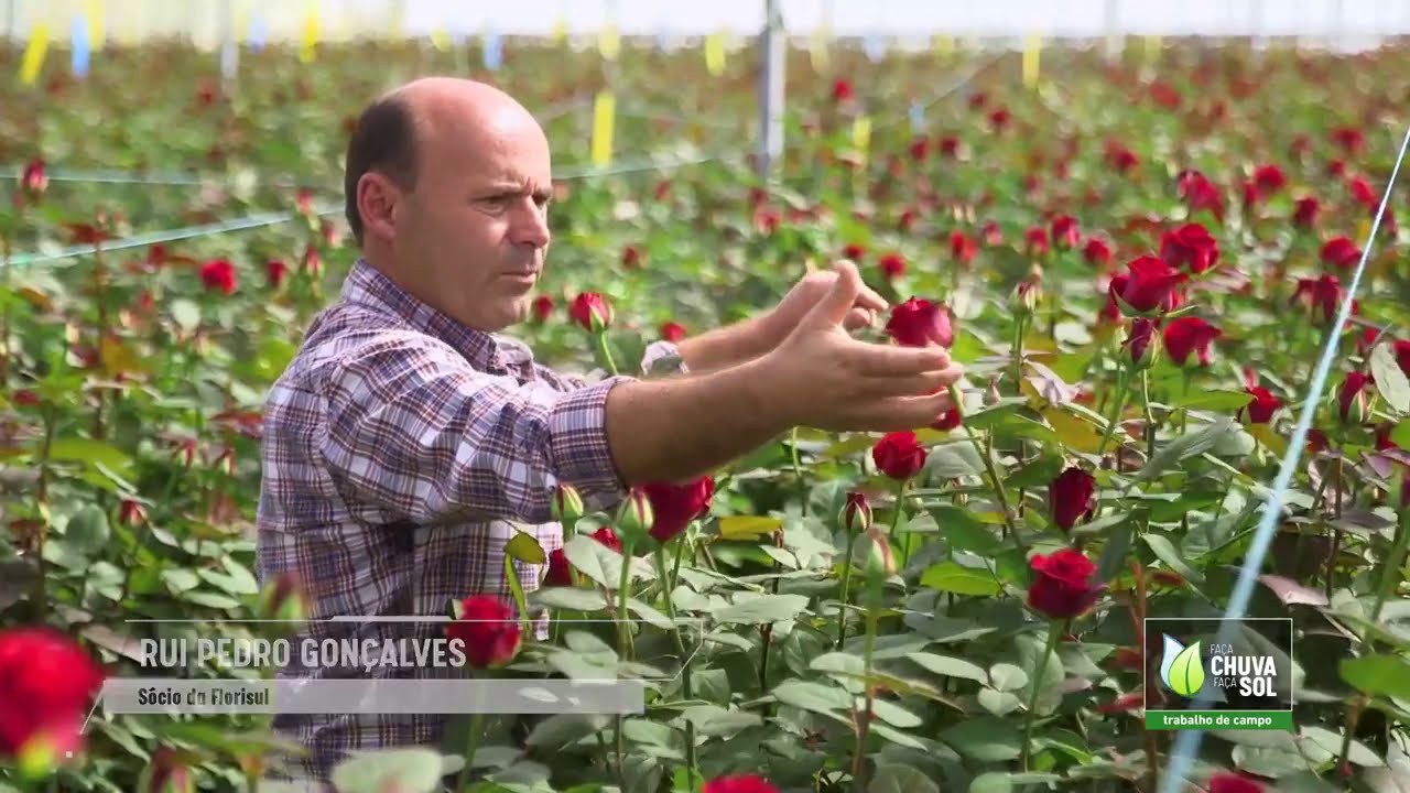 Produção de flores no programa Faça Chuva Faça Sol