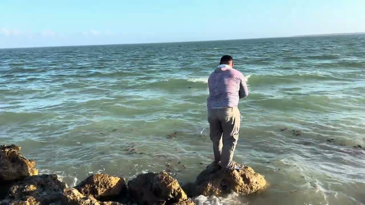 Ocean fishing with castnet 