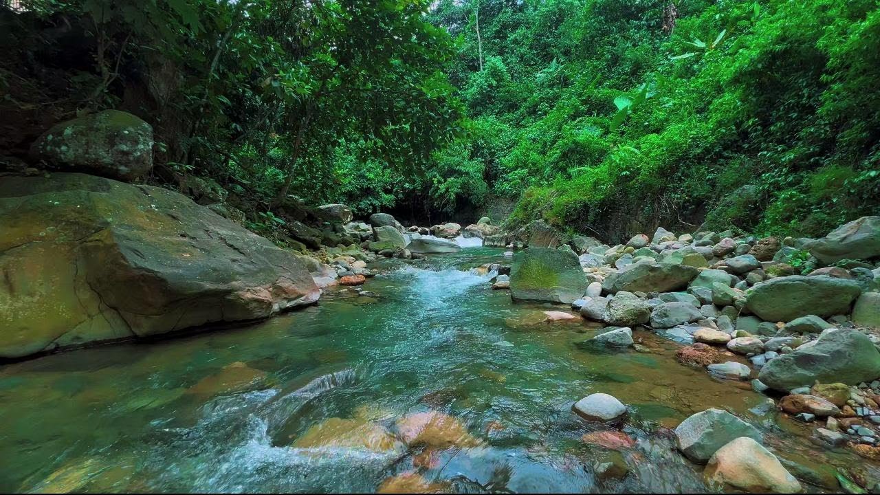 4K-HDR | Rest Peacefully with River Stream Ambience | Sleep Water Flow for Stress-Free Night Calm