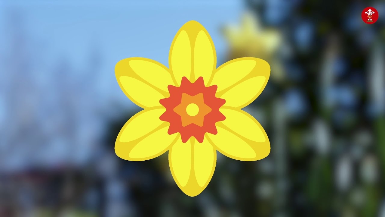 Dydd Gŵyl Dewi Hapus! Happy St David's Day