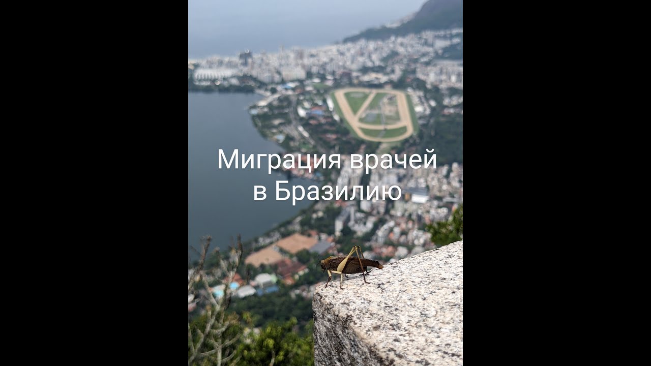 Миграция врачей в Бразилию