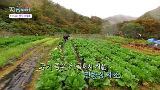 [트렌드 지금 여기] 1석3조 산지직거래
