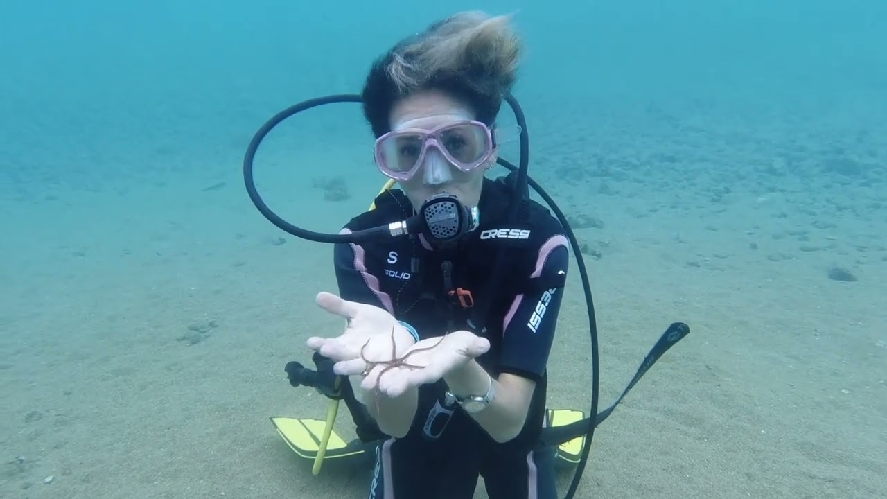 DISCOVER SCUBA by Ionian Divers
