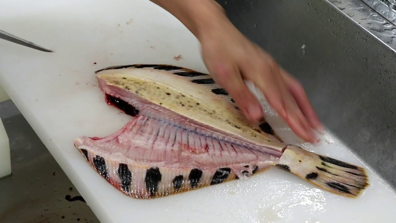 松川鰈のおろし方 Matsukawa Flounder Sushi