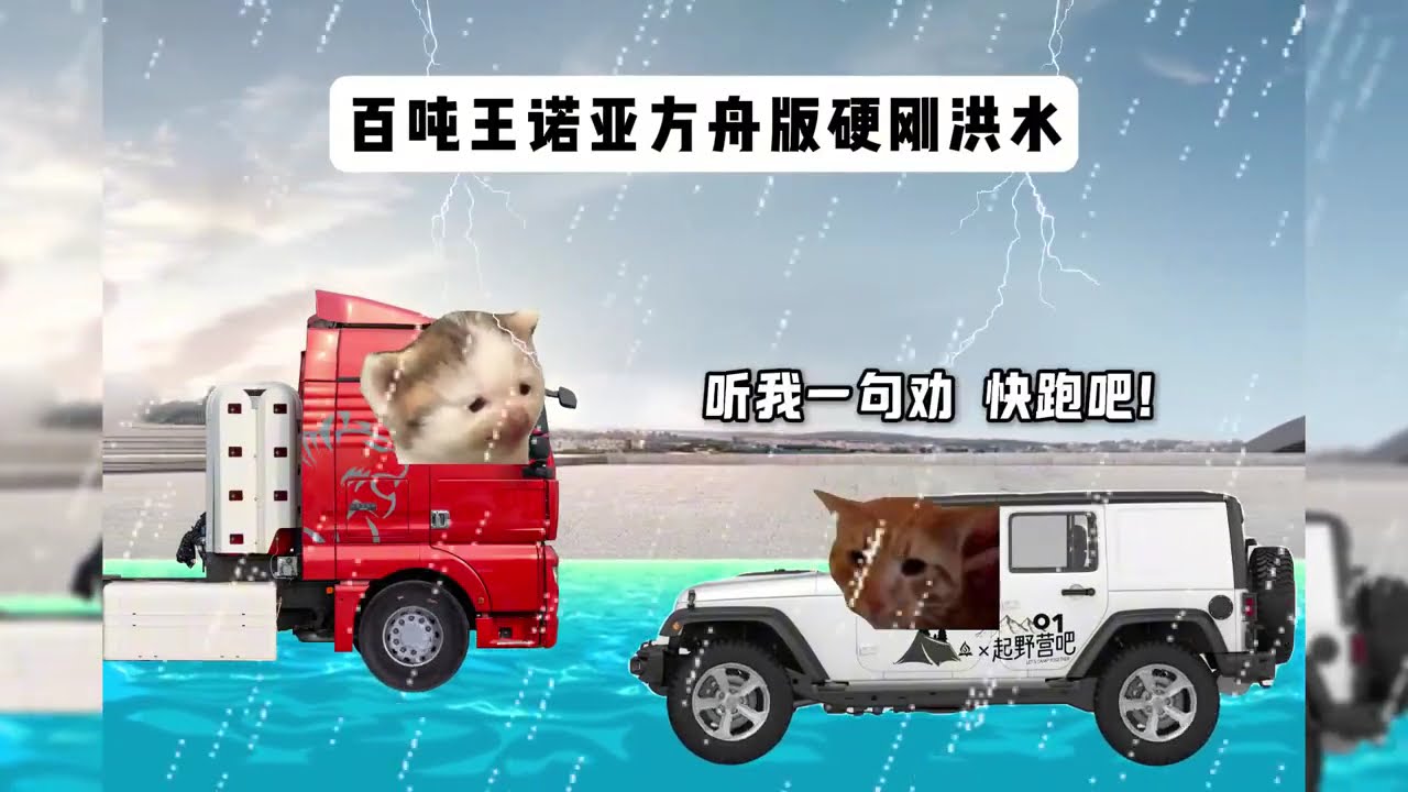 猫meme的日常-百吨王诺亚方舟？！ #猫meme  #猫meme小剧场 #猫meme剧场 #内容过于真实 #搞笑
