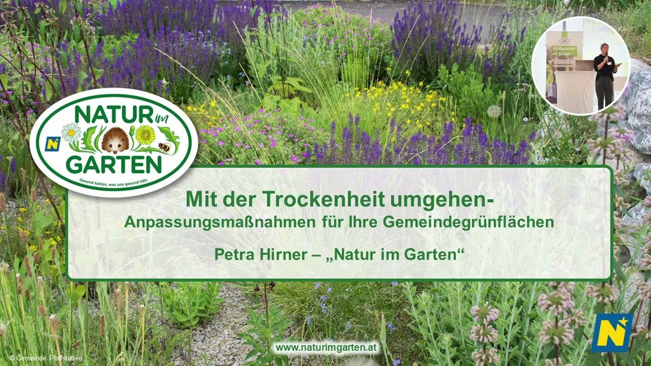 Mit der Trockenheit umgehen