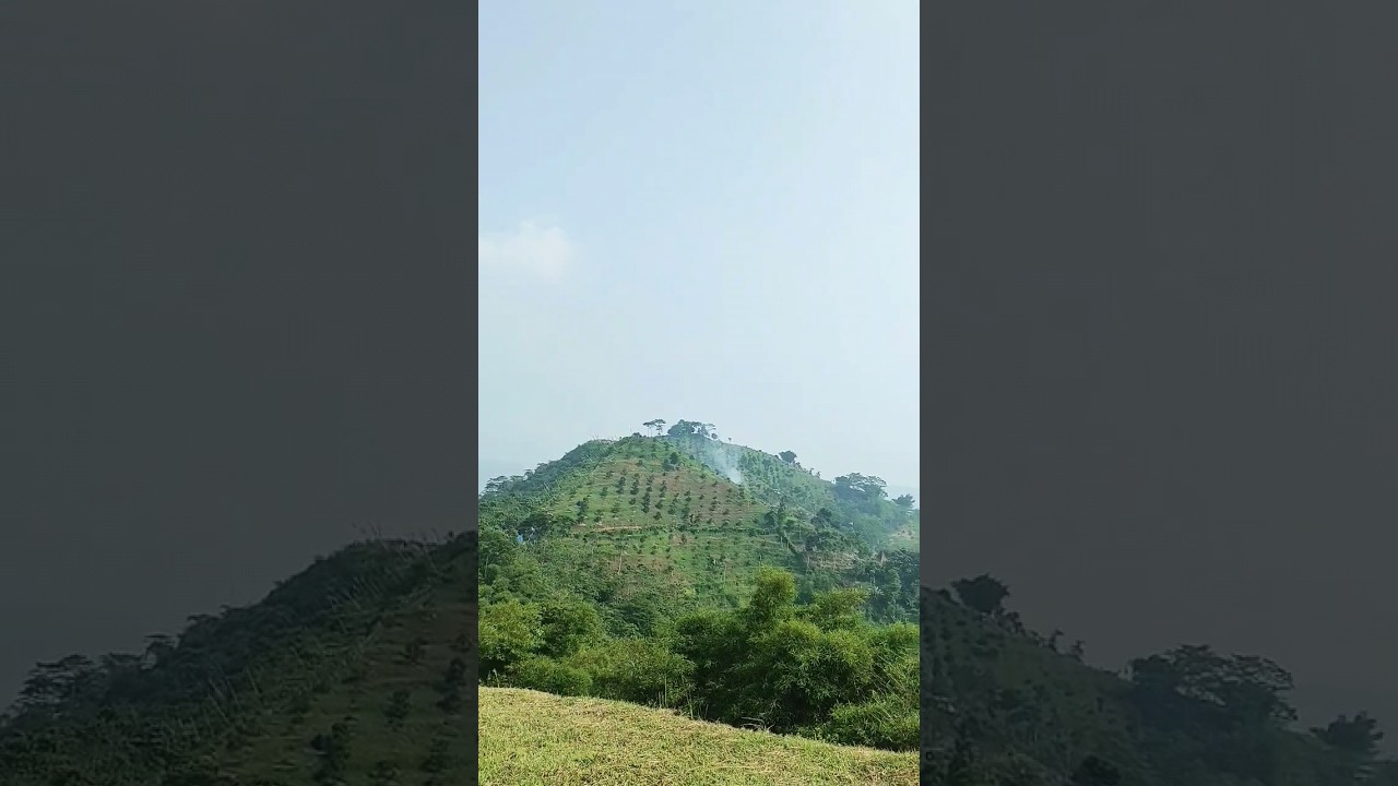 Wisata Gunung Kasur Cipanas #gunungkasur #cipanas #bukit #gunung #wisata