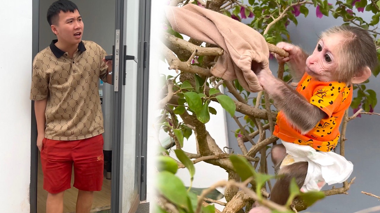 CUBIS Has Wardrobe Mishap Tree and Dad Can’t Help Laughing