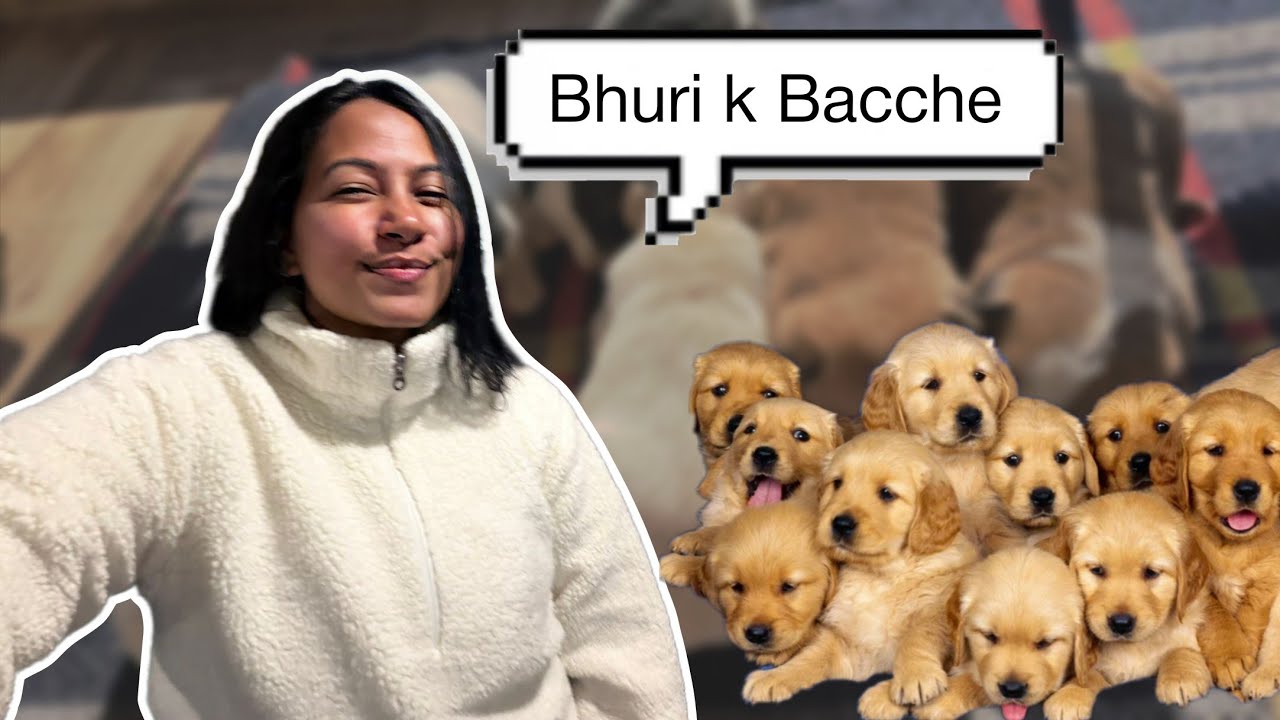 Puppy Gift for my Friend! 🐕 Bhuri ke Bachon ka Naya Ghar ✨ | Sunbird Homestay Vlog
