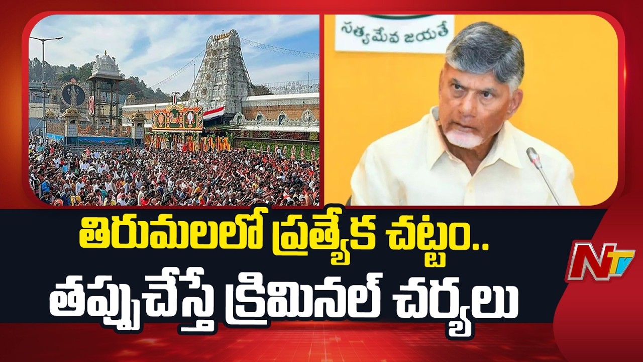 Amaravati : స్వర్ణ దేవాలయం తరహాలో తిరుమల తిరుపతి దేవస్థానం..? | AP Govt | CM Chandrababu | NTV